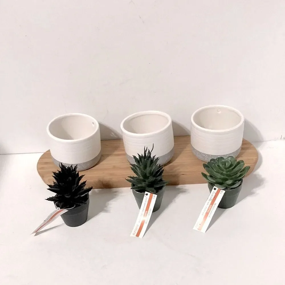 CENTERPIECE Decor Mini Faux Succulents in Ceramic Pots ASHLAND Wooden Tray